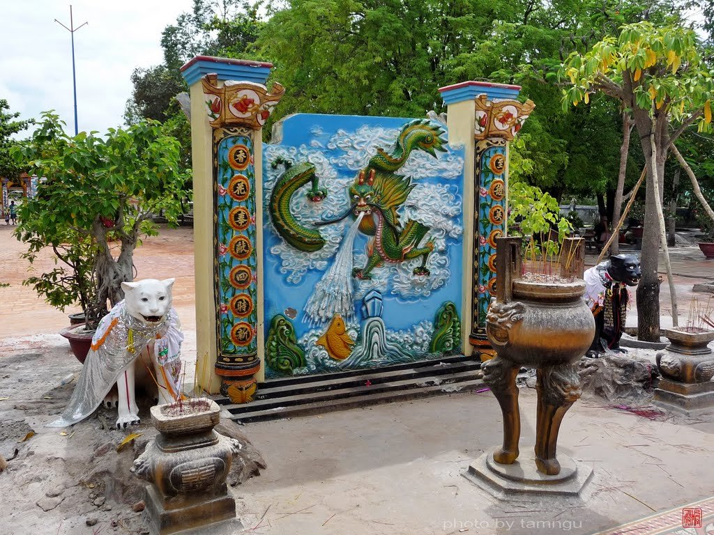 Hắc Bạch Hổ bảo vệ Dinh Thầy Thím