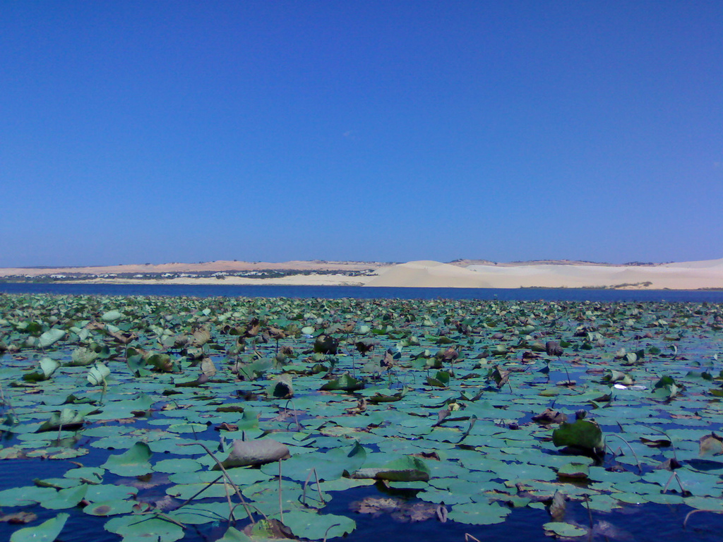 Thuê xe 16 chỗ đi Bàu Trắng Phan Thiết Mũi Né