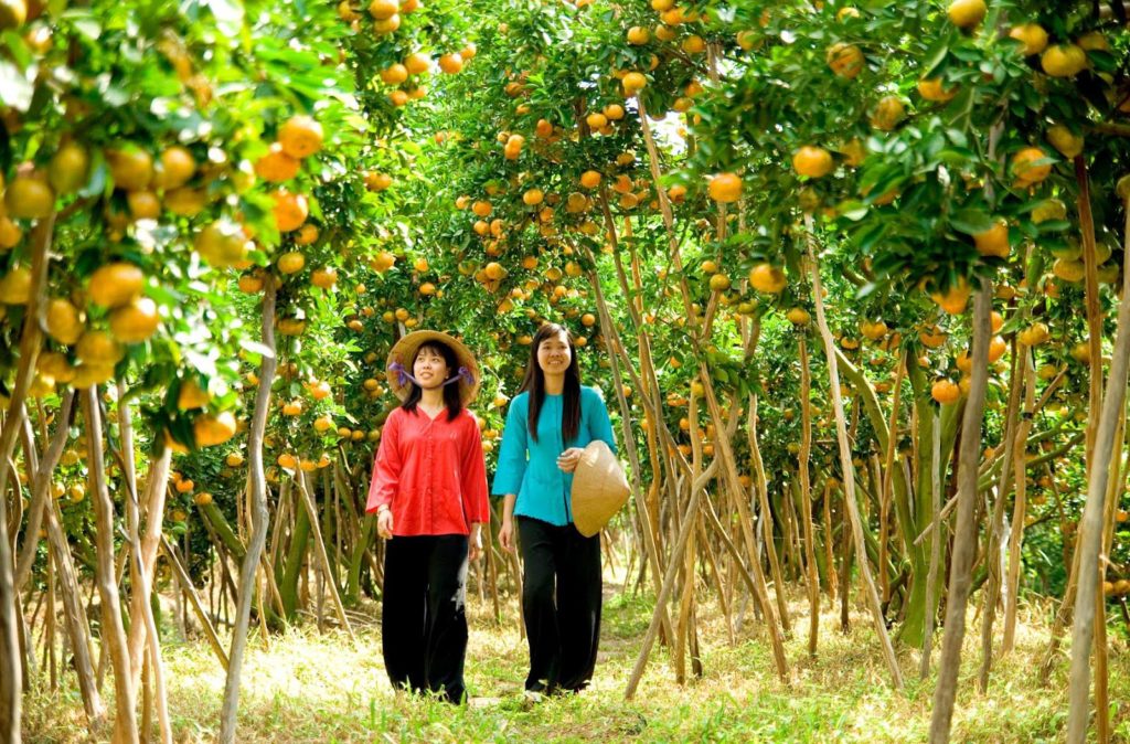 Tour tham quan miệt vườn trái cây tại Cần Thơ Tour tham quan miệt vườn trái cây tại Cần Thơ