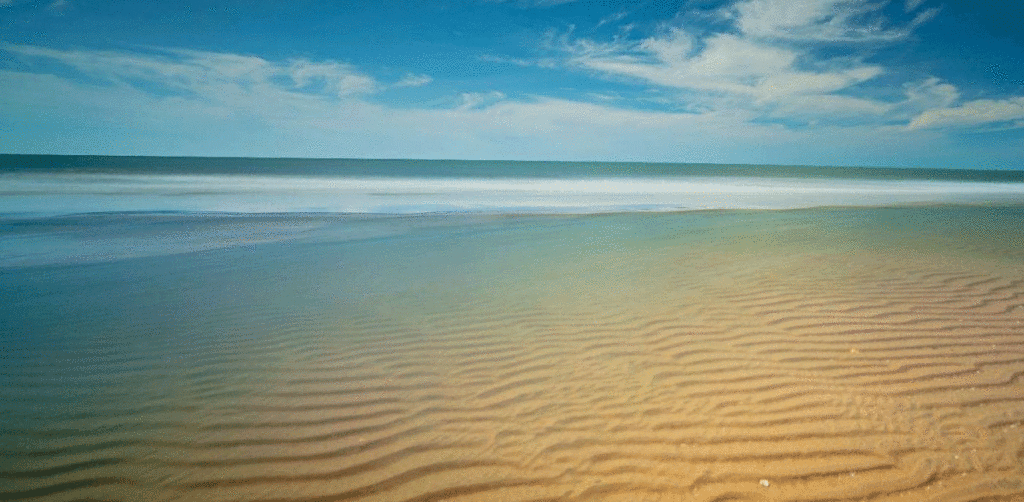 Cho thuê xe 16 chỗ đời mới đi the Grand Hồ Tràm nghỉ dưỡng