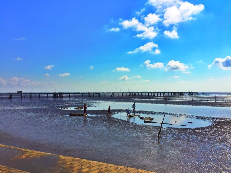 Đổi gió với tiết mục Cào nghêu ở Biển Tân Thành