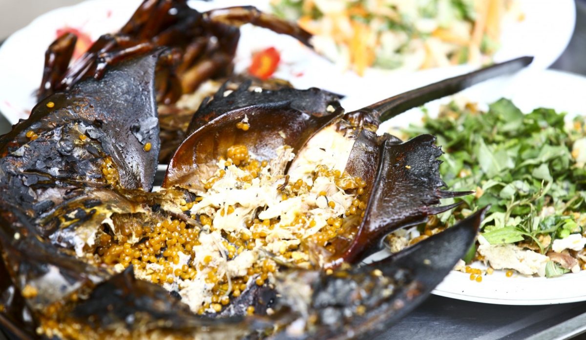 vi vu đổi gió với hải sản Sam biển nướng tại biển tân thành gò công