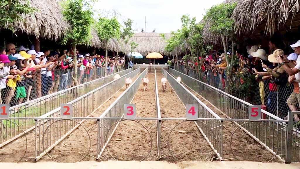 Trò chơi dân gian Đua Lợn tại Làng du lịch Mỹ Khánh