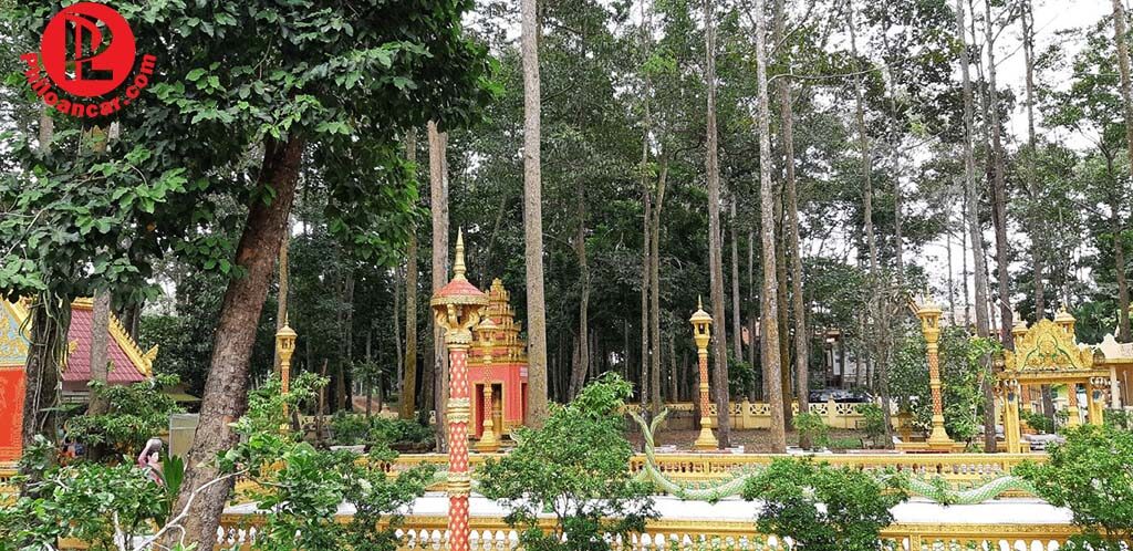Bóng cây phủ mát khuôn viên chùa Âng Bóng cây phủ mát khuôn viên chùa Âng