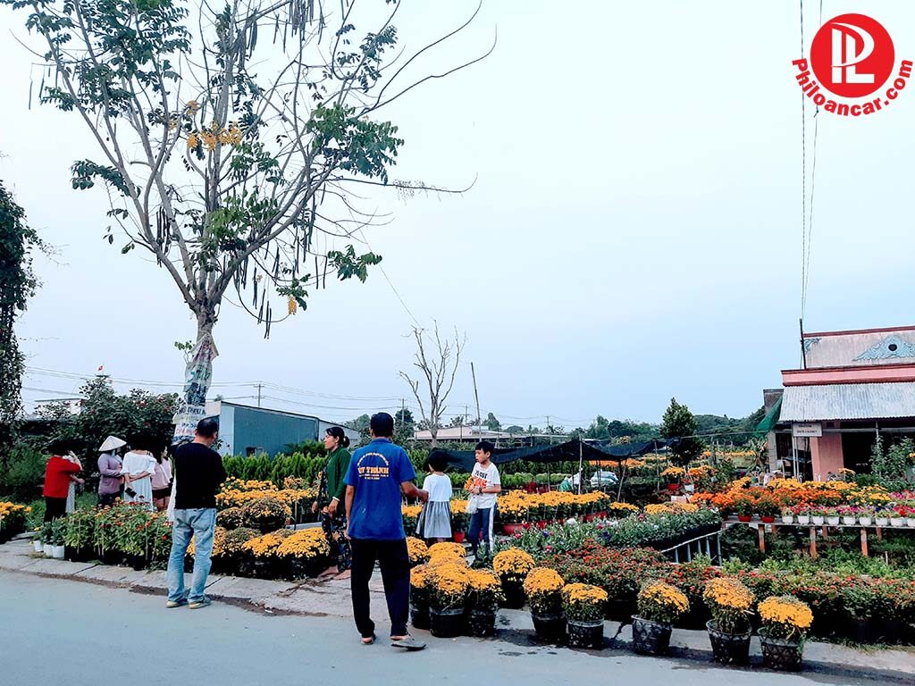 Du khách chọn mua hoa về chưng Tết Du khách chọn mua hoa về chưng Tết