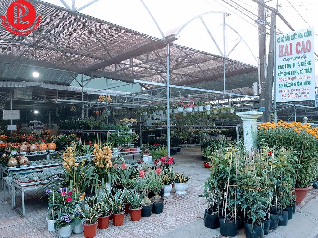 Mô hình nhà vườn truyền thống tại Làng Hoa Sa Đéc Mô hình nhà vườn truyền thống tại Làng Hoa Sa Đéc